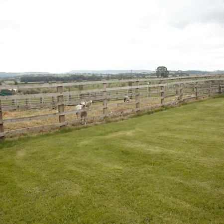 Lingfield Ewenique Views Pets Welcome Welbury